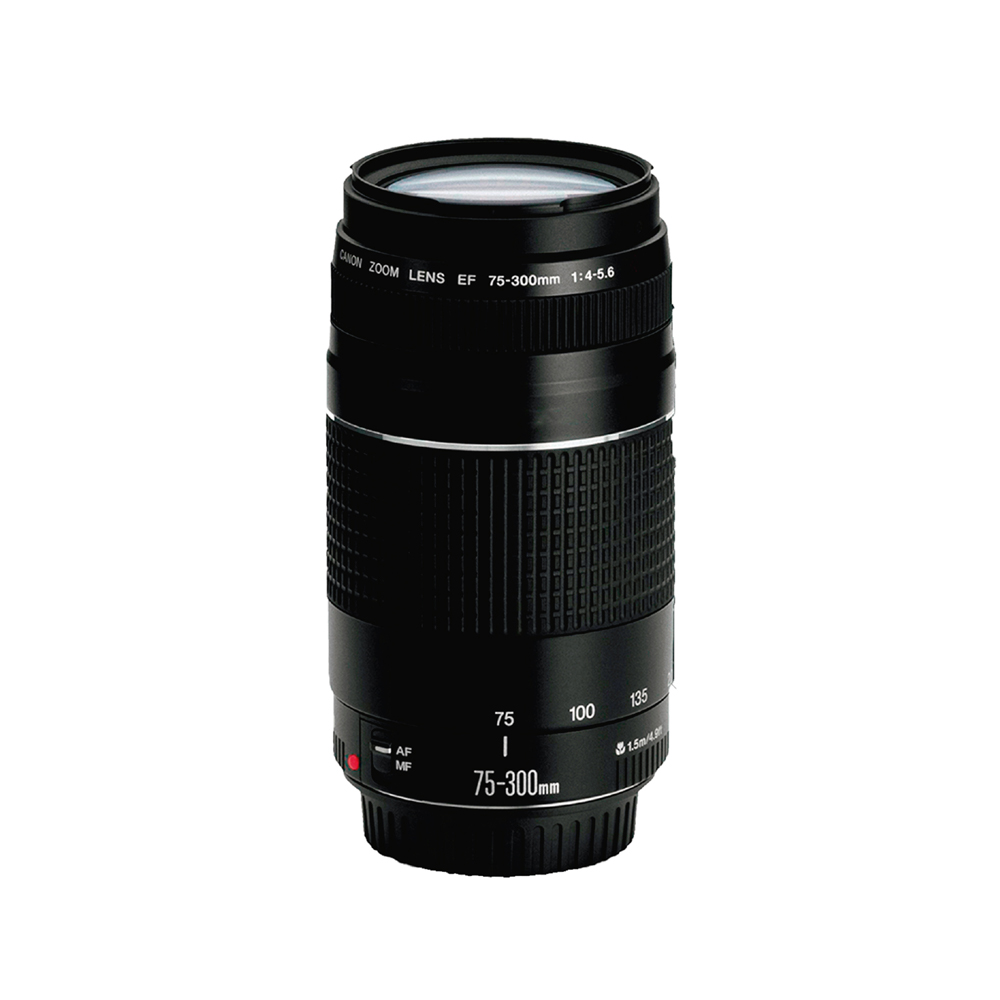 COMBO 57 CAM. T7+ EF-S 18-55 IS I+LENTE 75-300+ MEMORIA 32GB+MALET. NAC